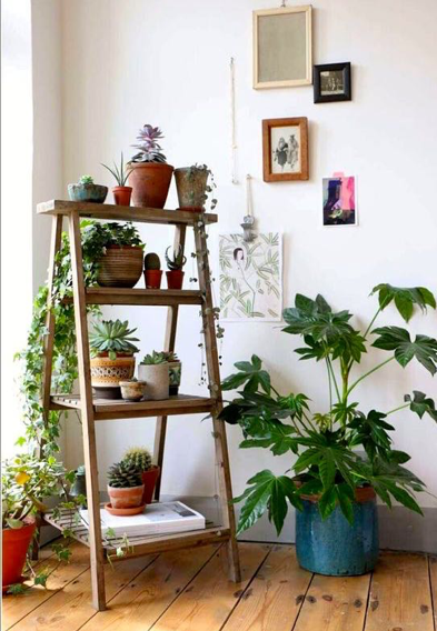 scala decorata con piante