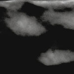 WALL_BLACK_RIVESTIMENTO_LUCIDO_6X25